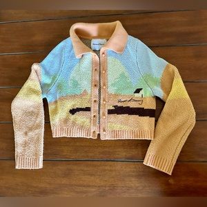 Super cute day tripper sweater